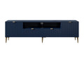 TV stand with 2 doors, 2 drawers and 2 shelves in MDF and steel - Blue and gold - Dormeva DYPO81103