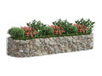 Raised Gabion Bed, Galvanized Iron, 300x100x50 cm, CXNN21059