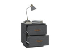 Bedside tables, 2 pcs, Grey, 40x34x45 cm, Solid pine wood, EJLL90158